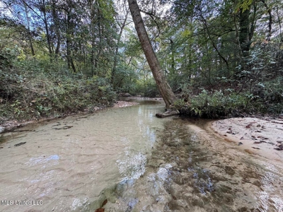 The Brushy Creek 133 - Amite County, Mississippi Retreat - image 36