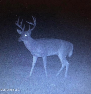 The Brushy Creek 133 - Amite County, Mississippi Retreat - image 39