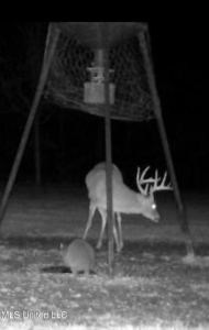 The Brushy Creek 133 - Amite County, Mississippi Retreat - image 38