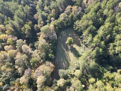 The Brushy Creek 133 - Amite County, Mississippi Retreat - image 9