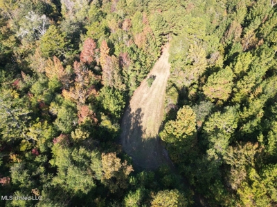 The Brushy Creek 133 - Amite County, Mississippi Retreat - image 7