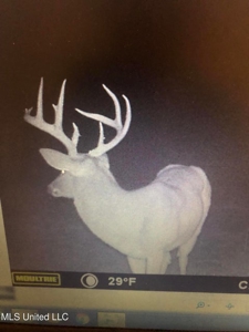 The Brushy Creek 133 - Amite County, Mississippi Retreat - image 43