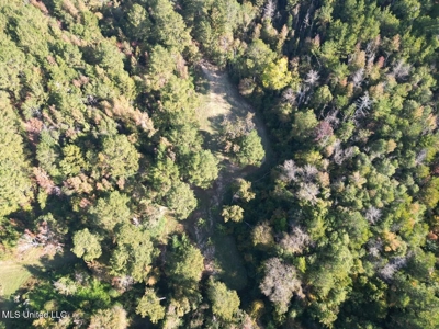 The Brushy Creek 133 - Amite County, Mississippi Retreat - image 11