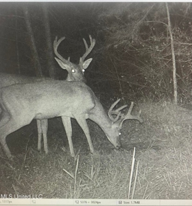 The Brushy Creek 133 - Amite County, Mississippi Retreat - image 46