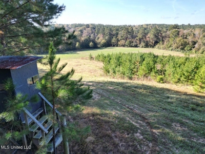 The Brushy Creek 133 - Amite County, Mississippi Retreat - image 12