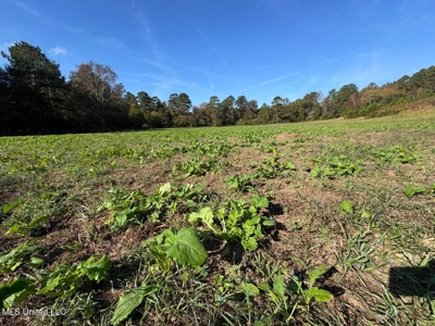 The Brushy Creek 133 - Amite County, Mississippi Retreat - image 26