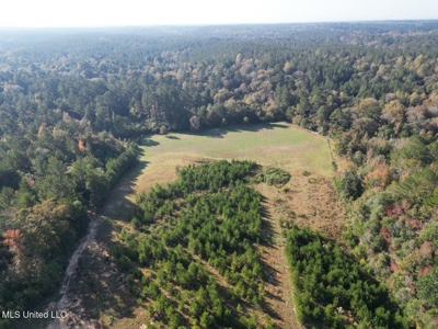 The Brushy Creek 133 - Amite County, Mississippi Retreat - image 6