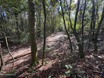 The Brushy Creek 133 - Amite County, Mississippi Retreat - image 32