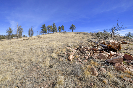 Beautiful Land for sale in the Colorado Mountains near Florissant - image 13