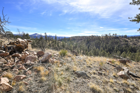 Beautiful Land for sale in the Colorado Mountains near Florissant - image 12