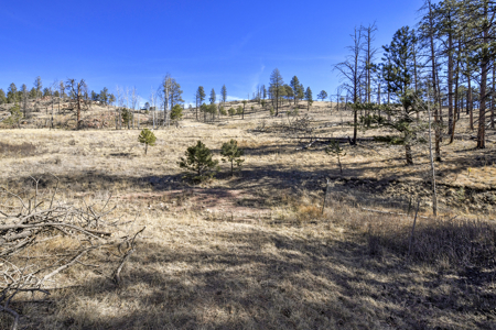 Beautiful Land for sale in the Colorado Mountains near Florissant - image 3