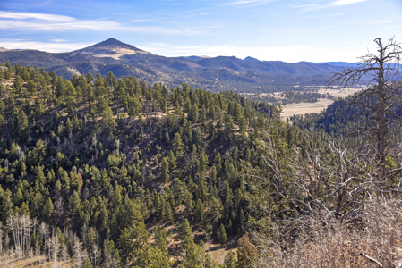 Beautiful Land for sale in the Colorado Mountains near Florissant - image 1