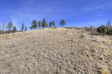 Beautiful Land for sale in the Colorado Mountains near Florissant - image 14