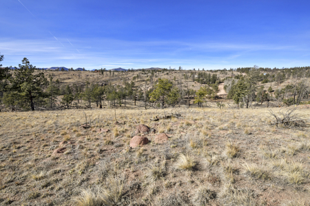 Beautiful Land for sale in the Colorado Mountains near Florissant - image 15