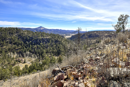 Beautiful Land for sale in the Colorado Mountains near Florissant - image 16
