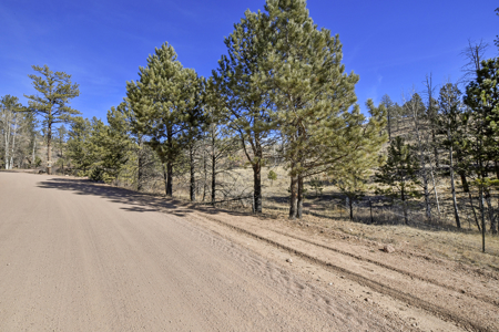 Beautiful Land for sale in the Colorado Mountains near Florissant - image 2
