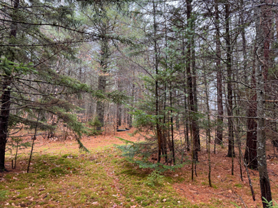 6 Bedroom Farmhouse on 13 Acres - Bethel, Maine - image 44