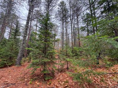 6 Bedroom Farmhouse on 13 Acres - Bethel, Maine - image 43