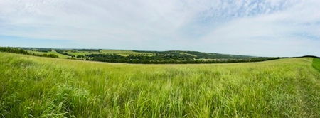 Custer County Nebraska Pasture for Sale - image 24