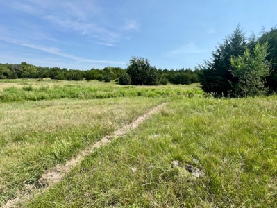 Custer County Nebraska Pasture for Sale - image 20