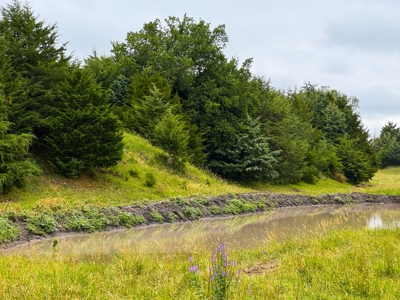 Custer County Nebraska Pasture for Sale - image 25