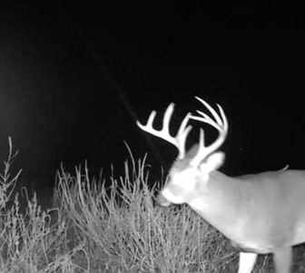 Custer County Nebraska Pasture for Sale - image 18