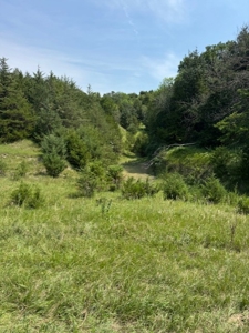 Custer County Nebraska Pasture for Sale - image 22