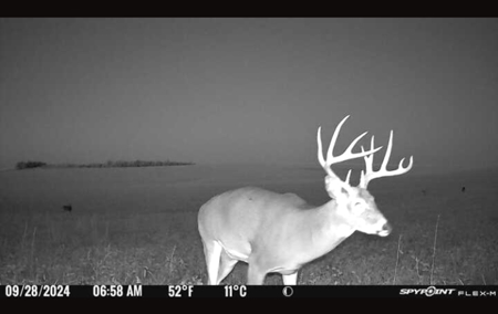 Custer County Nebraska Pasture for Sale - image 17
