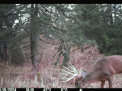 Custer County Nebraska Pasture for Sale - image 16