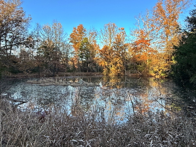 Recreational Land for Sale in Cedar County, Missouri - image 19