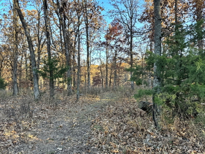Recreational Land for Sale in Cedar County, Missouri - image 15