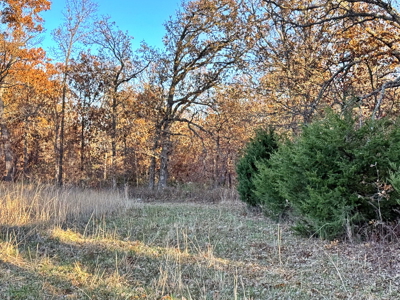 Recreational Land for Sale in Cedar County, Missouri - image 14