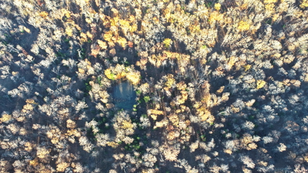 Recreational Land for Sale in Cedar County, Missouri - image 6