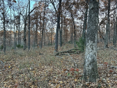 Recreational Land for Sale in Cedar County, Missouri - image 27