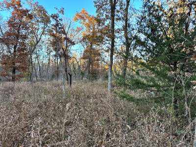 Recreational Land for Sale in Cedar County, Missouri - image 24