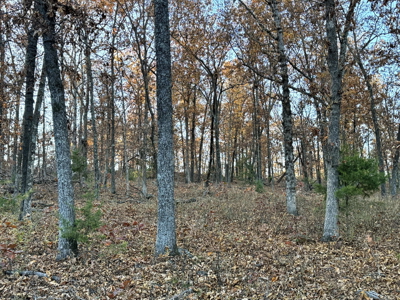 Recreational Land for Sale in Cedar County, Missouri - image 21