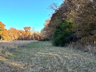 Recreational Land for Sale in Cedar County, Missouri - image 13