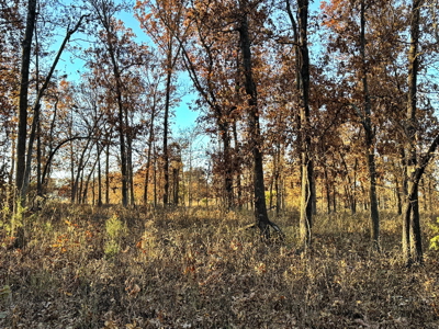 Recreational Land for Sale in Cedar County, Missouri - image 29