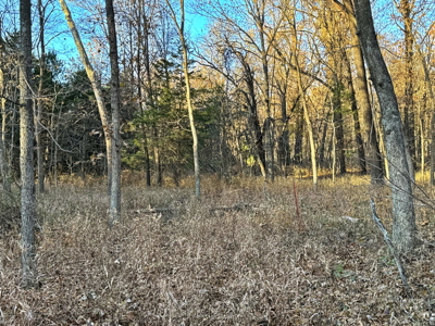 Recreational Land for Sale in Cedar County, Missouri - image 26