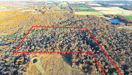 Recreational Land for Sale in Cedar County, Missouri - image 4