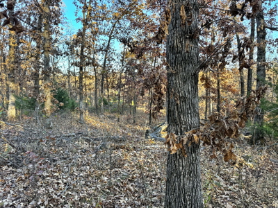 Recreational Land for Sale in Cedar County, Missouri - image 17