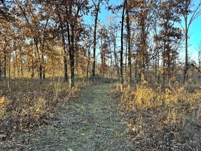 Recreational Land for Sale in Cedar County, Missouri - image 31