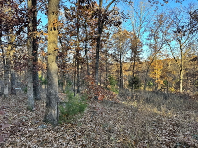 Recreational Land for Sale in Cedar County, Missouri - image 16