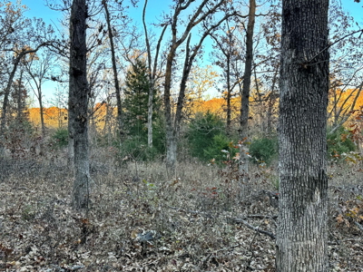 Recreational Land for Sale in Cedar County, Missouri - image 22