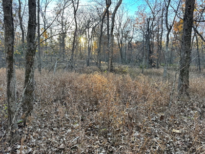 Recreational Land for Sale in Cedar County, Missouri - image 25
