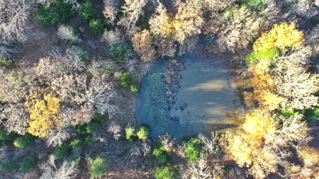 Recreational Land for Sale in Cedar County, Missouri - image 7