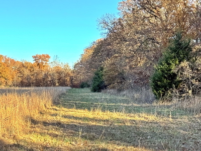 Recreational Land for Sale in Cedar County, Missouri - image 12