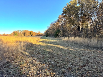 Recreational Land for Sale in Cedar County, Missouri - image 11