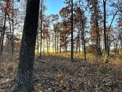 Recreational Land for Sale in Cedar County, Missouri - image 28