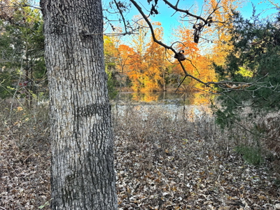 Recreational Land for Sale in Cedar County, Missouri - image 18